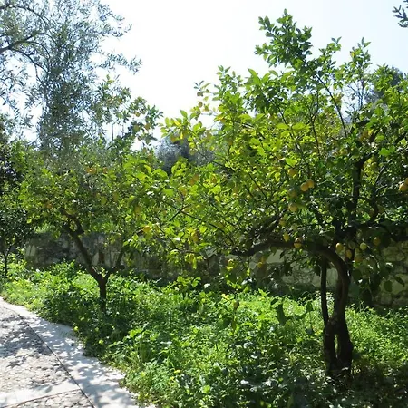 Villaggio Ripa 3*