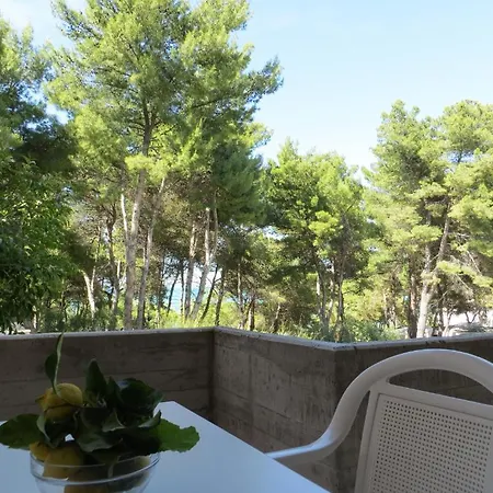 فندق Villaggio Ripa رودي غارغانيكو
