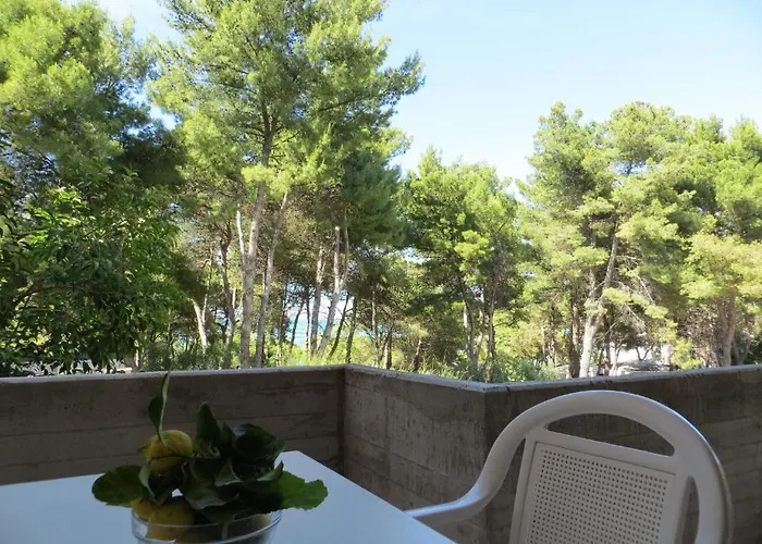 酒店 Villaggio Ripa 罗迪-加尔加尼科